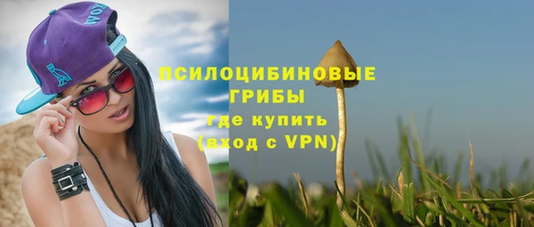 герыч Алексин