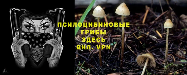 герыч Алексин