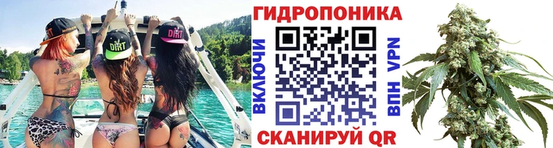 Бошки марихуана марихуана  как найти закладки  ОМГ ОМГ ONION  маркетплейс официальный сайт  Любим 